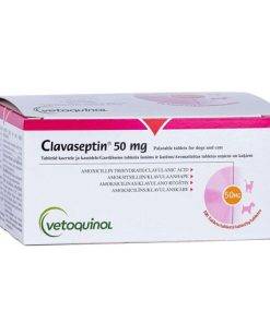 clavaseptin_50mg