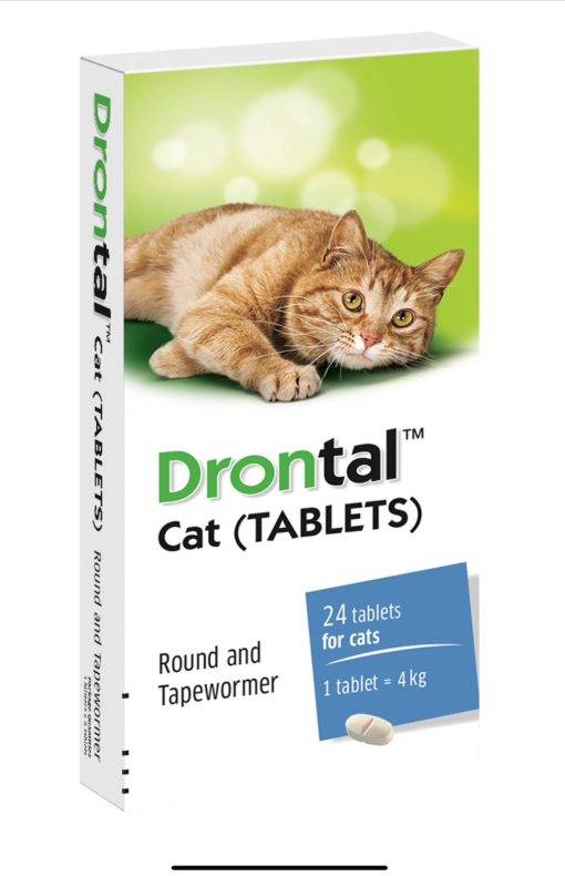 Drontal cat