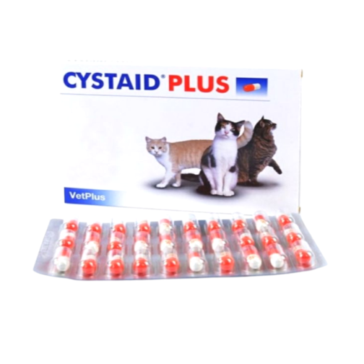 Cystaid plus 30 แคปซูล อาหารเสริมโปรตีนเสริมความแข็งแรงของกระเพาะปัสสาวะ