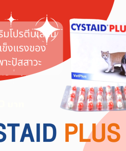 CYSTAID PLUS