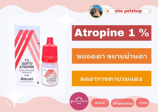 atropine eye drop