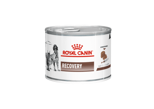 Royal Canin Recovery