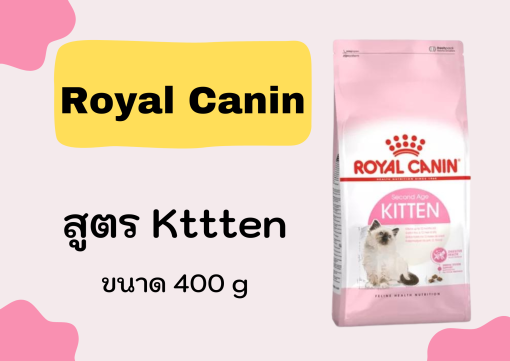 royal canin สูตร Kttten