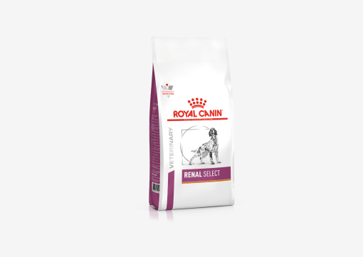 royal canin RENAL select