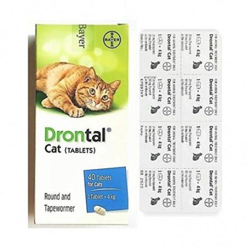 drontal cat