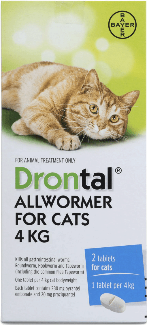 drantal-cat-