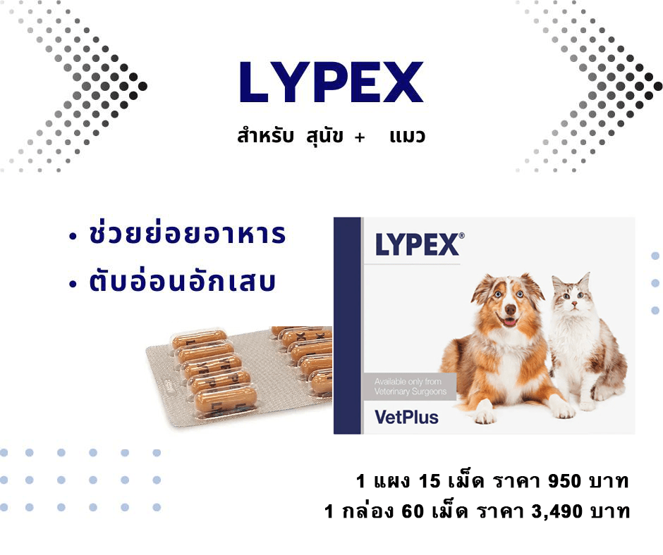 lypex