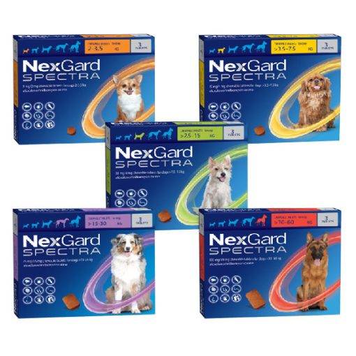 Nexgard Spectra Dog