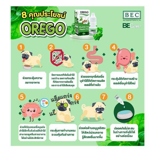 OREGO สารเสริมอาหารบำรุงระบบทางเดินอาหาร - Image 3