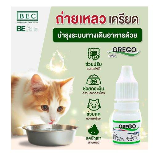 OREGO สารเสริมอาหารบำรุงระบบทางเดินอาหาร - Image 4
